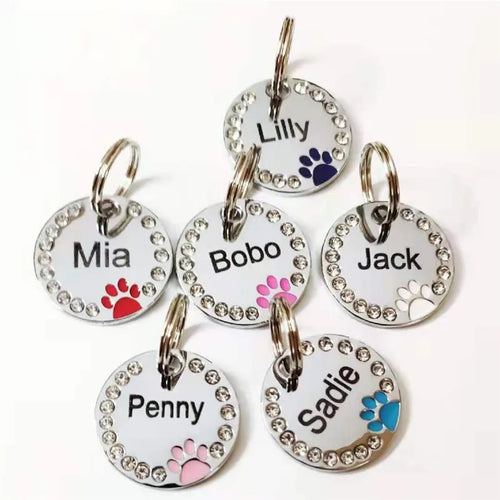 Indestructible Stainless Steel Pet Tag
