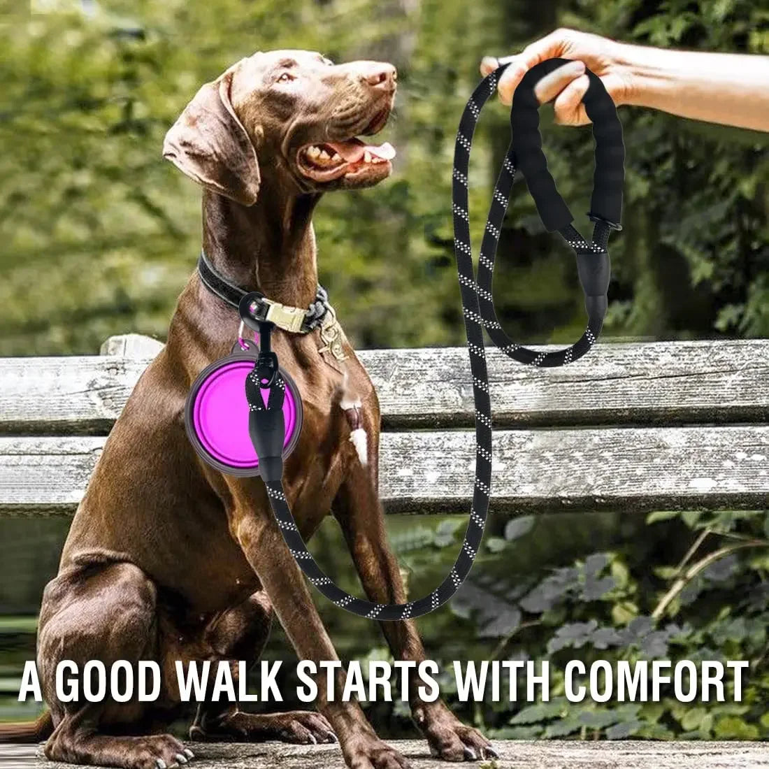 Reflective Padded Climbing Rope Leash